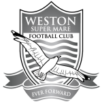 Weston-super-Mare badge